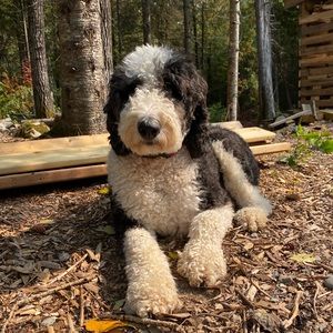 Meet your Posher, Kerri